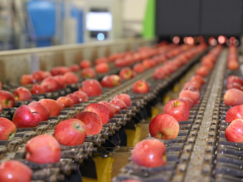 Evaluating size and weight of fresh produce